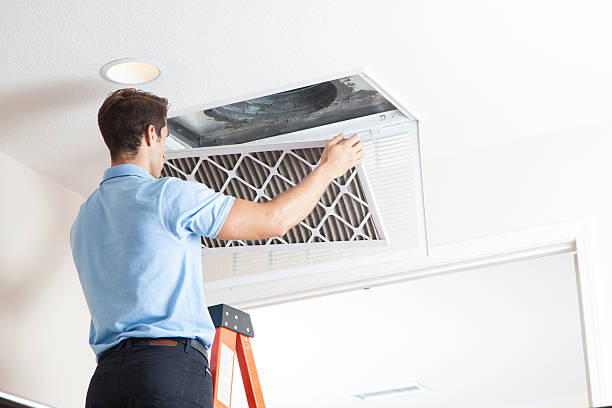 Best Air Filters and Purifiers in Cavalier, ND